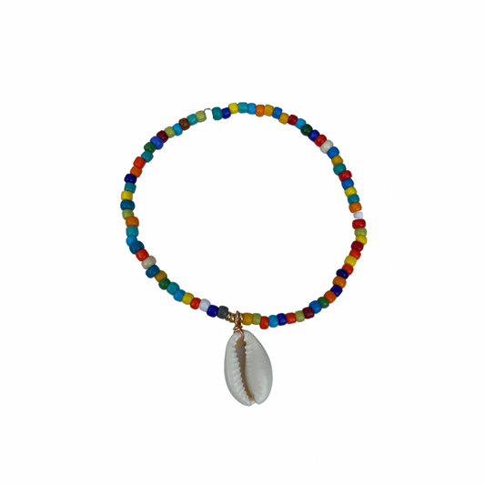 The "Rainbow" Anklet