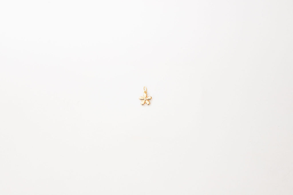 star charm