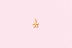 star charm